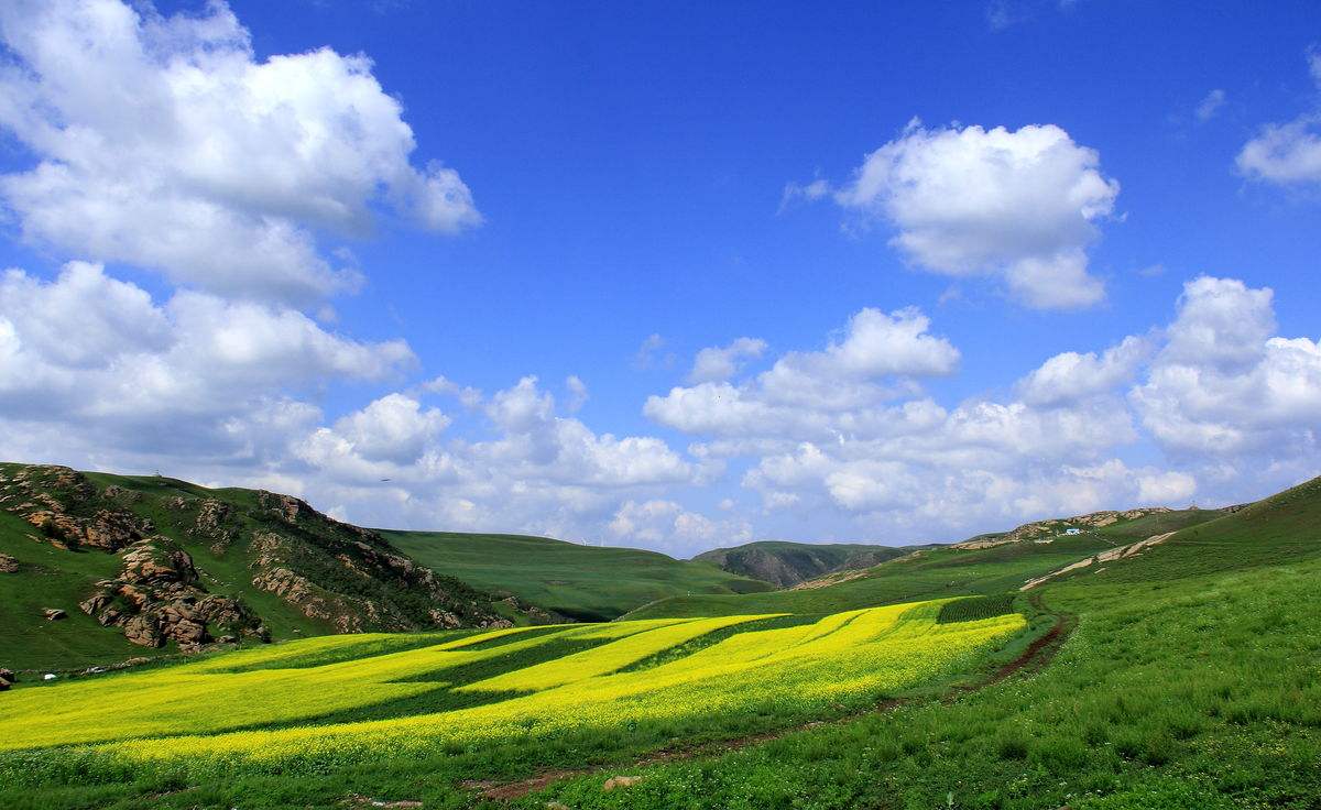 黃花溝景區團建活動心得體會